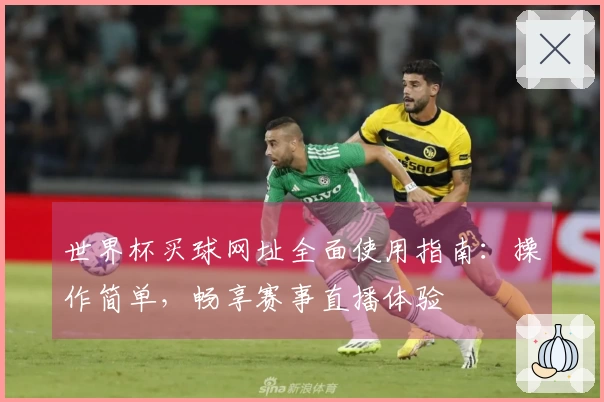 世界杯买球网址全面使用指南：操作简单，畅享赛事直播体验