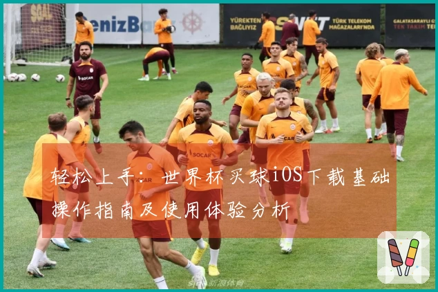 轻松上手：世界杯买球iOS下载基础操作指南及使用体验分析