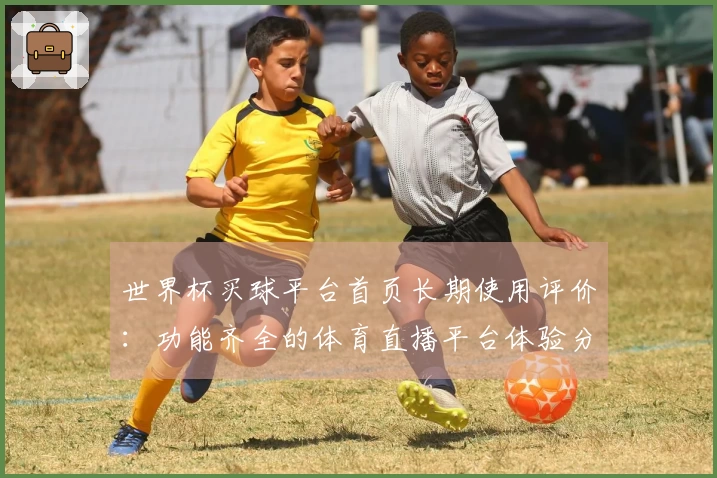 世界杯买球平台首页长期使用评价：功能齐全的体育直播平台体验分享