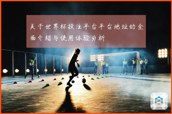 关于世界杯投注平台平台地址的全面介绍与使用体验分析