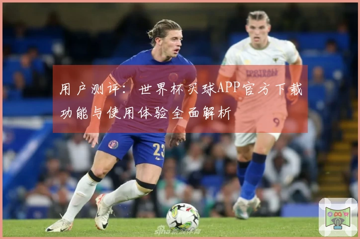 用户测评：世界杯买球APP官方下载功能与使用体验全面解析