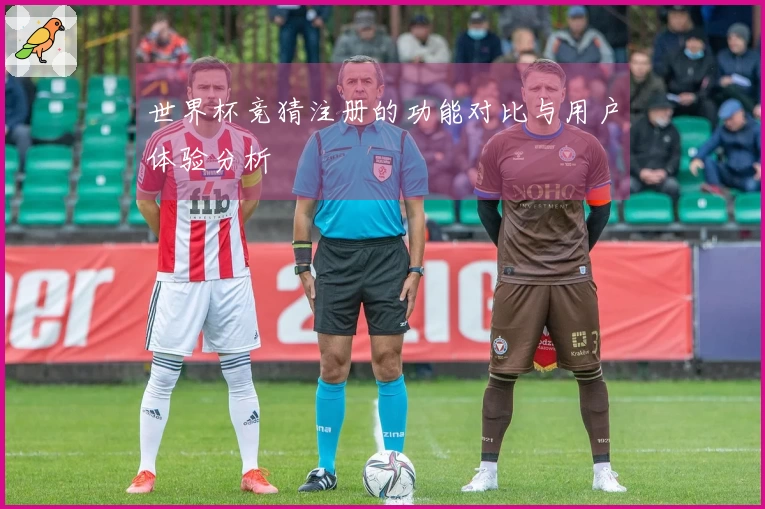 世界杯竞猜注册的功能对比与用户体验分析