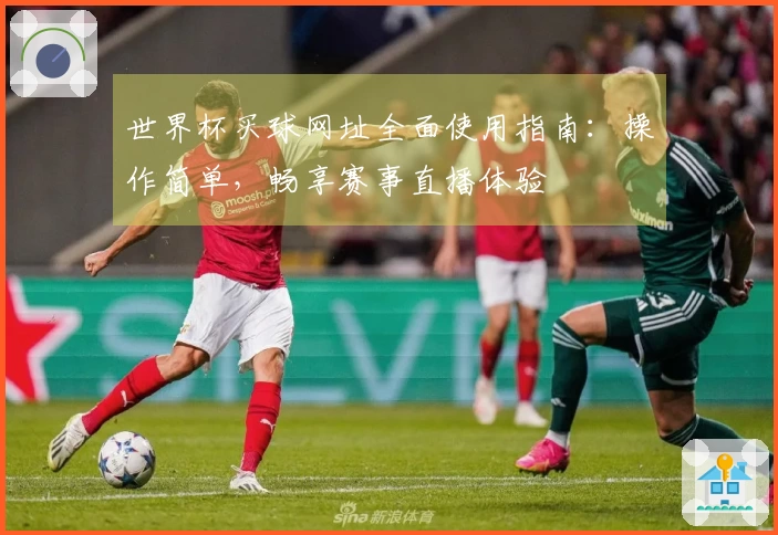 世界杯买球网址全面使用指南：操作简单，畅享赛事直播体验